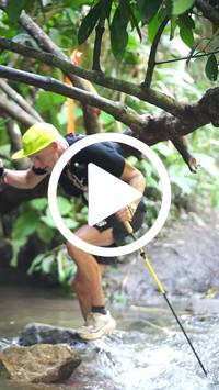 BIB:  <button type="button" onclick="openModal(27804313)" class="btn btn-primary btn-sm float-right" data-toggle="modal" data-target=".modal-high-quality">
                <i class="fa fa-download"></i> Download
                </button>